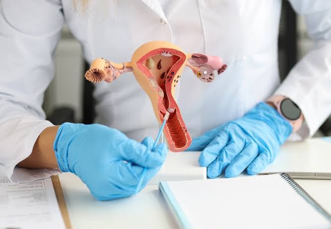 Hands-on Training in NDVH (Non-Descent Vaginal Hysterectomy)